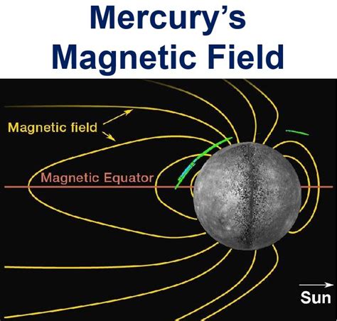 The Wotch's Role in Advancing our Understanding of Mercury's Evolution